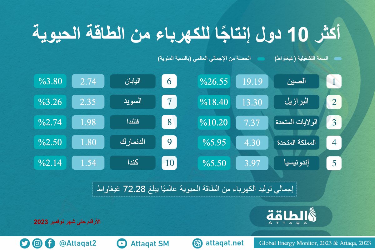 أكثر 10 دول توليدًا للكهرباء من الطاقة الحيوية