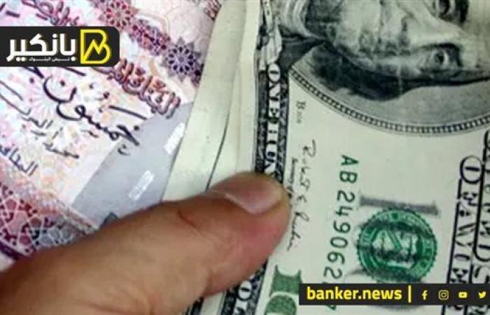 سعر الدولار اليوم الخميس 5-12-2024 في البنك المركزي المصري - بلس 48