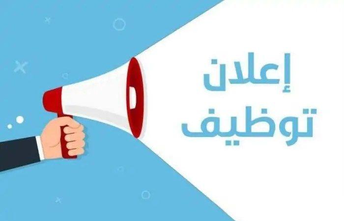 الحق الفرصة وظائف عمل اعرف إجراءات وشروط الالتحاق بالوظائف الحكومية بقيادية بالمحليات - بلس 48