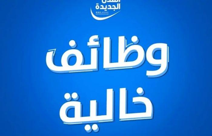 الحق الفرصة وظائف عمل اعرف إجراءات وشروط الالتحاق بالوظائف الحكومية بقيادية بالمحليات - بلس 48