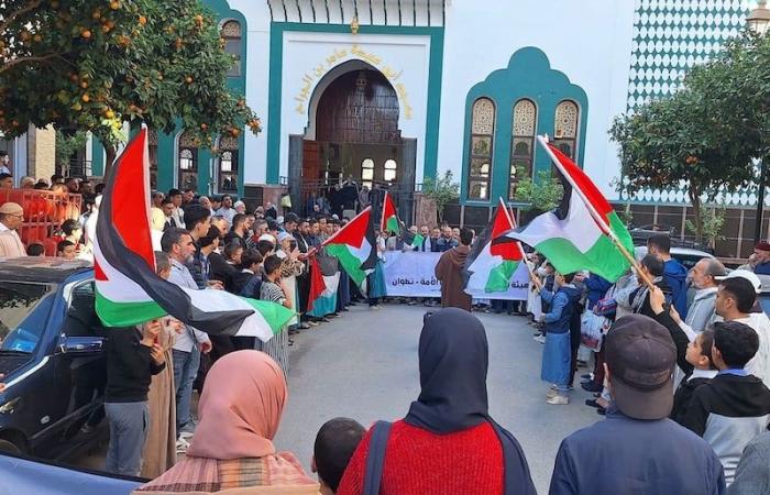 مائة وقفة بالمغرب تؤازر فلسطين - بلس 48