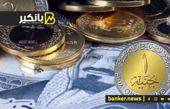 سعر الريال السعودي أمام الجنيه المصري في تعاملات اليوم السبت 7-12-2025 - بلس 48