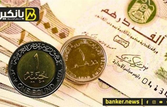 سعر الدرهم الإماراتي أمام الجنيه المصري في تعاملات اليوم السبت 7-12-2024 - بلس 48