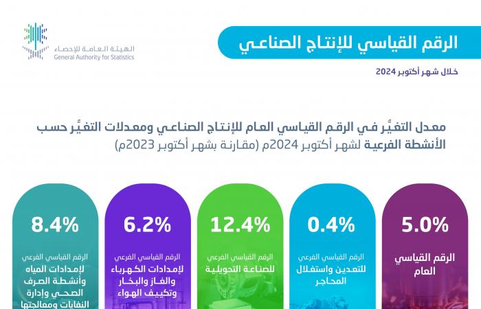 مؤشر الإنتاج الصناعي بالسعودية يرتفع 5% في أكتوبر بدعم كافة الأنشطة الاقتصادية - بلس 48