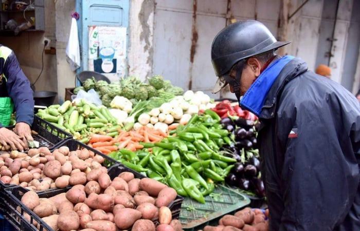 منتجو الخضراوات الأساسية ينبهون إلى كثرة "اختلالات التسويق" في المغرب - بلس 48