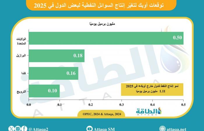 أوبك تخفض توقعات الطلب على النفط.. ومستوى غير مسبوق في هذا الموعد - بلس 48