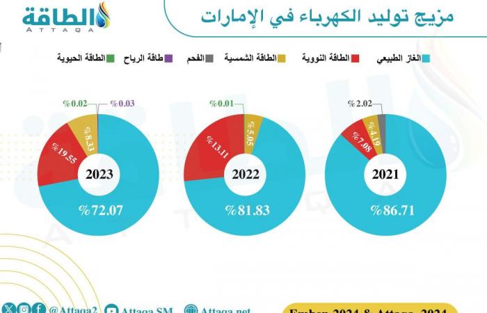 الطاقة الحيوية في الدول العربية تشهد خططًا طموحة بقيادة عمان ومصر - بلس 48