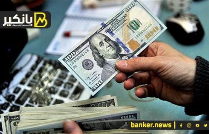 لغز الارتفاع المتواصل في سعر الدولار.. وإيه توقعات الأيام الجاية - بلس 48