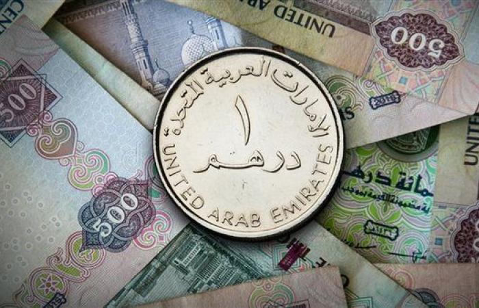 سعر الدرهم الإماراتي اليوم الخميس 12-12-2024 في البنك المركزي المصري - بلس 48