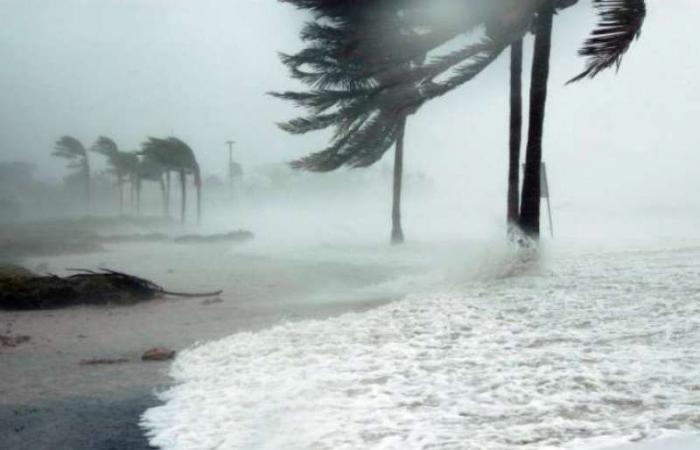 الأرصاد: غيوم وأمطار ورياح تضرب هذه الأماكن خلال الساعات المقبلة - بلس 48