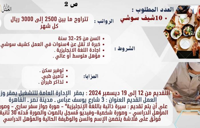 عاجل.. بدء التقديم على وظائف المصريين في السعودية اليوم براتب 9 آلاف ريال - بلس 48