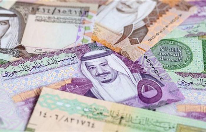 سعر الريال السعودي اليوم الخميس 12-12-2024 في البنك المركزي المصري - بلس 48