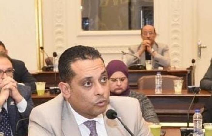 نشات العمده: جولة السيسي الأوروبية فرصة لاستعراض إنجازات مصر الاقتصادية والإصلاحات التي عززت مناخ الاستثمار - بلس 48