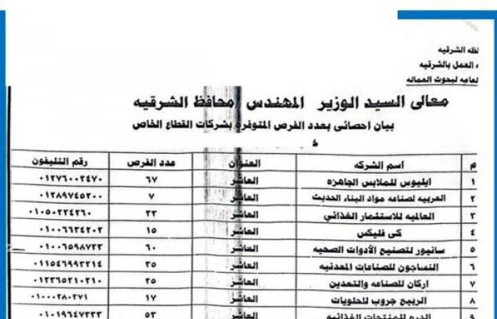 توفير 950 فرصة عمل داخل 31 مصنع وشركة تابعين للقطاع الخاص بالشرقية - بلس 48