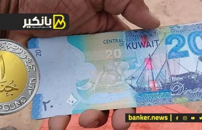 سعر الدينار الكويتي أمام الجنيه المصري في تعاملات اليوم الجمعة 13-12-2024 - بلس 48