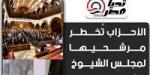 مصادر سياسية لـ«تحيا مصر»: الأحزاب تُخطر مرشحيها لمجلس الشيوخ (قائمة وفردي) غدًا الأحد - بلس 48