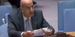 مندوب مصر بالأمم المتحدة: مصر ترفض مقترح نقل الفلسطينيين إلى «المدينة الإنسانية» - بلس 48