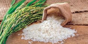 استقرار أسعار الأرز اليوم السبت بالسوق المحلي - بلس 48