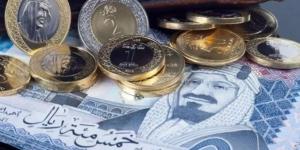 سعر الريال السعودي أمام الجنيه في مصر اليوم الأحد 22-9-2024 - بلس 48