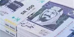 تحرك جديد في سعر الريال السعودي مقابل الجنيه اليوم - بلس 48