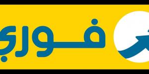 بالبلدي : فوري تعلن وصول إجمالي تسهيلات خدمة “اشتر الآن وادفع لاحقا” إلى مليار جنيه منذ بدء إطلاق الخدمة - بلس 48