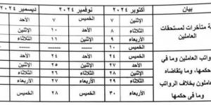 بالبلدي: مواعيد صرف مرتبات شهر أكتوبر ونوفمبر وديسمبر ٢٠٢٤.. "مستند" - بلس 48