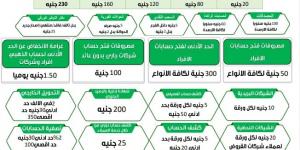 تصل لـ230 جنيها.. قرار جديد بشأن رسوم الخدمات البريدية المقدمة للمواطنين - بلس 48