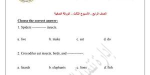 مراجعات نهائية.. اسئلة تقييم الأسبوعين الثالث والرابع لغة انجليزية الصف الرابع الابتدائي - بلس 48