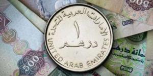 سعر الدرهم الإماراتي مقابل الجنيه المصري اليوم الأحد 20 أكتوبر 2024 -  بلس 48