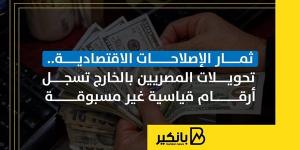 ثمار الإصلاحات الاقتصادية.. تحويلات المصريين بالخارج تسجل أرقام قياسية غير مسبوقة - بلس 48