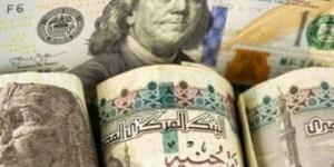 منظمة العمل الدولية: ارتفاع الأجور 1.8% بجميع أنحاء العالم في 2023 - بلس 48