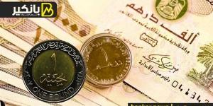 سعر الدرهم الإماراتي أمام الجنيه المصري في تعاملات اليوم الجمعة 29-11-2024 - بلس 48