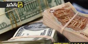 سعر الدولار أمام الجنيه المصري في تعاملات اليوم الأحد 15-12-2024 - بلس 48