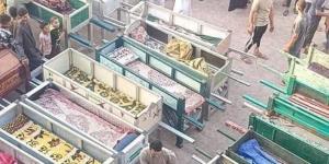 حزب الجبهة الوطنية يقدّم العزاء و100 ألف جنيه لاسره كل متوفى و٥٠ الف جم لكل مصاب  فى حادث المنوفية الاليم - بلس 48