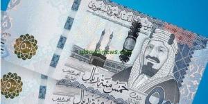سعر الريال السعودي مقابل الجنيه المصري اليوم السبت 28 يونيو 2025 الان بيع وشراء - بلس 48