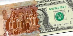 سعر الدولار مقابل الجنيه اليوم الإثنين في مصر.. تحديث لحظي - بلس 48