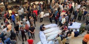 ارتفاع حصيلة شهداء العدوان الإسرائيلي على غزة إلى 56 ألفا و531 فلسطينيا - بلس 48
