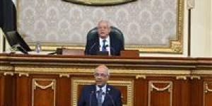 النواب يغلق المناقشة في تعديل قانون الإيجار القديم من حيث المبدأ ويستأنف غدا.. وجبالي يطالب الحكومة بتوفير البيانات المطلوبة - بلس 48