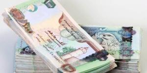 سعر الدرهم الإماراتي اليوم الإثنين 30 يونيو 2025 في بنك مصر والبنك الأهلي - بلس 48