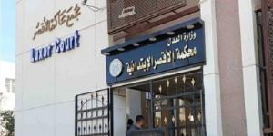 3 مرشحين لانتخابات لشيوخ يقدمون أوراقهم في الأقصر - بلس 48