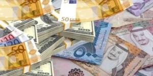 أسعار العملات العربية والأجنبية في مصر اليوم الثلاثاء 8-7-2025 - بلس 48