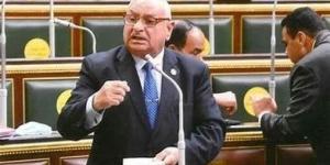 في ختام دور الانعقاد الخامس.. برلماني: هدفنا «أغلبية ومعارضة» مصلحة الوطن والمواطن - بلس 48