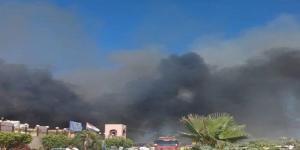 حريق هائل في بتروكيماويات العامرية بالإسكندرية.. والنيابة تفتح تحقيقًا عاجلًا - بلس 48