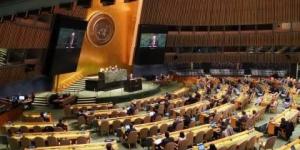 العالم ينتفض من اجل فلسطين 30دولة تجتمع للضغط على إسرائيل ومقررة أممية: القانون الدولى ليس اختيارى - بلس 48
