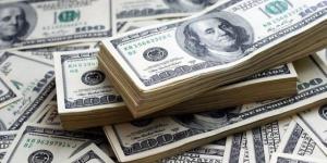 ضربات أمنية مستمرة لضبط مرتكبى جرائم الإتجار غير المشروع بالنقد الأجنبى - بلس 48