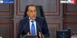رئيس الوزراء: الشركات المصرية حريصة على التواجد في الدول الإفريقية - بلس 48