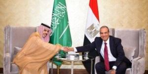 وزير الخارجية يبحث مع نظيره السعودي مستجدات الأوضاع في سوريا وليبيا وفلسطين - بلس 48