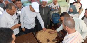 توريد 515 ألف طن قمح بالمنيا منذ بدء الموسم بزيادة 180 ألف طن عن العام الماضي - بلس 48