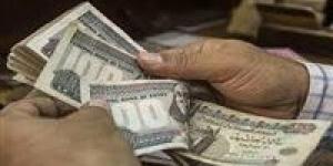 5 بنوك تواصل طرح شهادات ادخار بعائد متناقص...اعرف التفاصيل - بلس 48