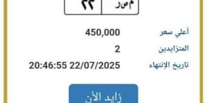 «م ص ر 22».. المرور تطرح التزايد على لوحة سيارة مميزة - بلس 48